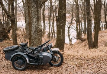 An old motorcycle rests quietly among the trees in a serene woodland setting, showcasing its vintage charm.